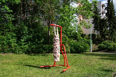 IMAGE: 